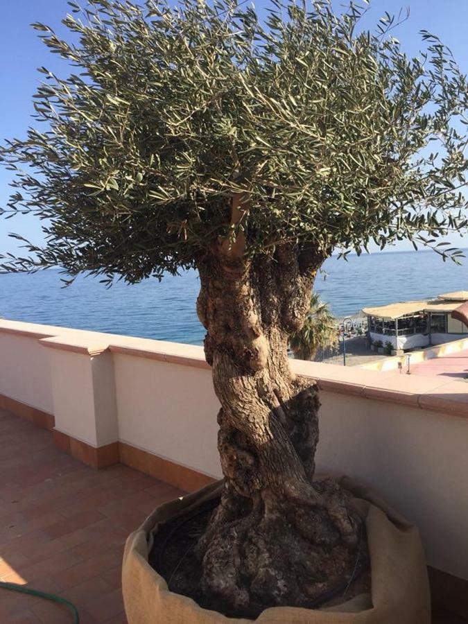 Le Camere Di Rosanna Marina di Gioiosa Ionica Buitenkant foto